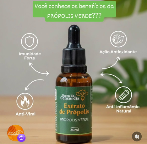 Extrato de própolis verde